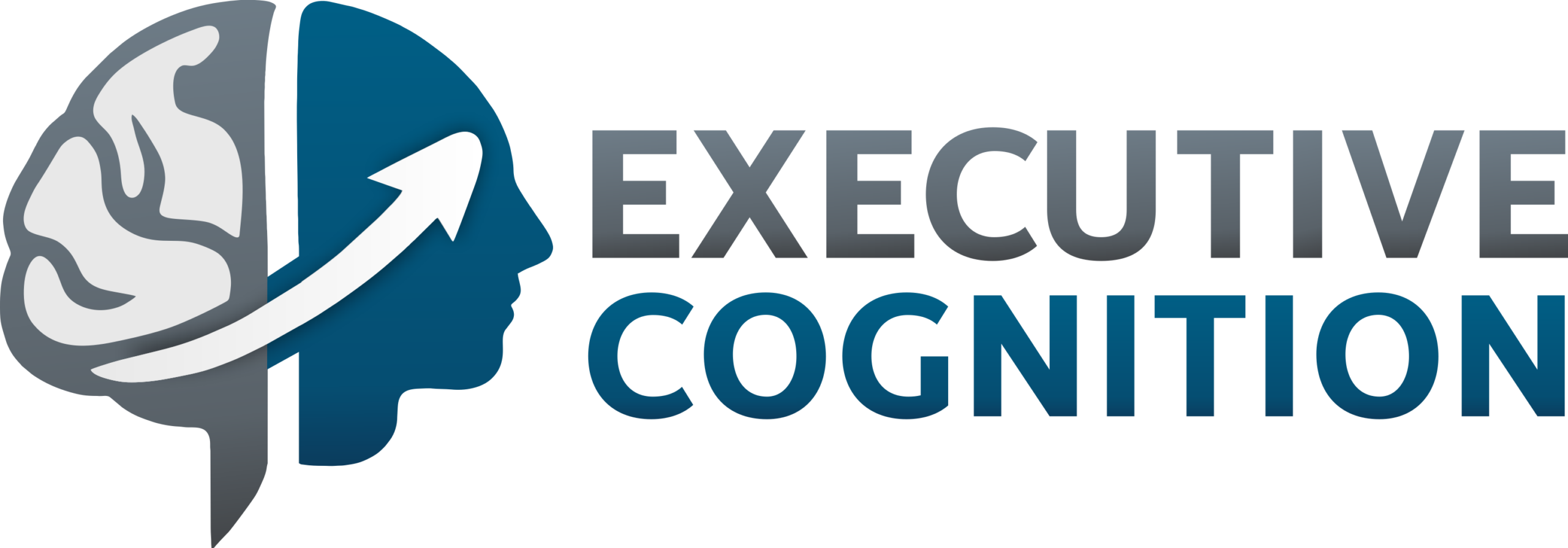 Executive Cognition